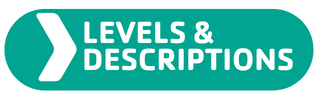 LEVELS DESCRIPTIONS