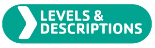 LEVELS DESCRIPTIONS